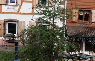 Maison pittoresque à Sainte-Croix-aux-Mines, vue sur la montagne - Foto 66
