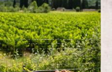 Spa&Stay - Anna Outdoor Private Jacuzzi - Foto 7