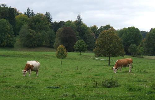 Malerhaus am Kolbergarten - Foto 41