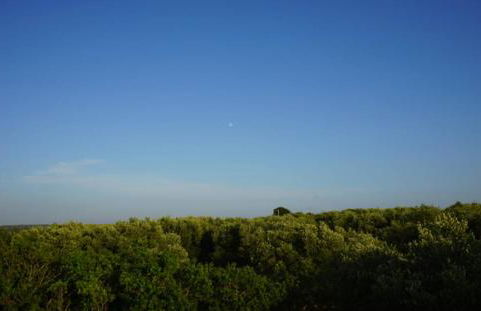 Infinity Pool Villa - Foto 53