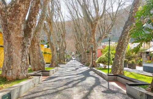 StayinMachico - Foto 76