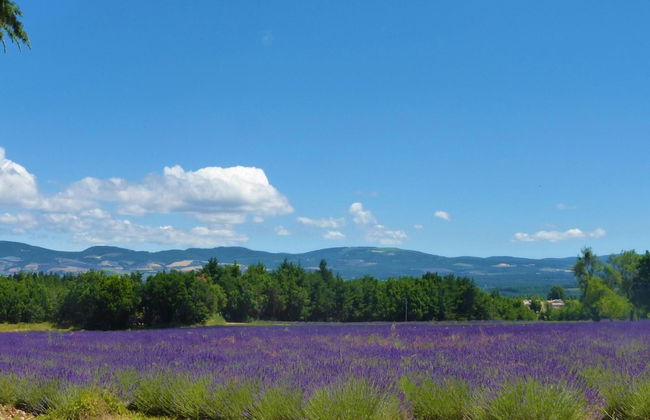 Menerbes Home With Private Pool - Photo 18