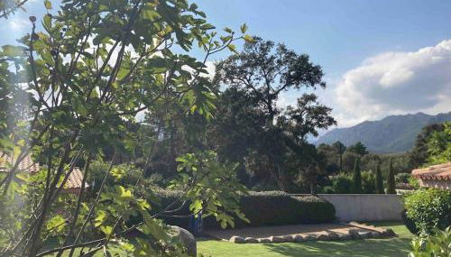 Maison SAINTE LUCIE DE PORTO-VECCHIO - Foto 5, Garden, Garden view