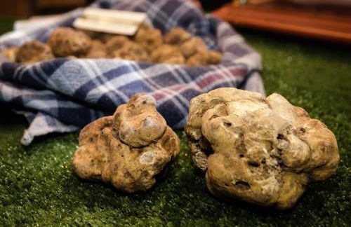 La casa dei ricordi - Foto 40