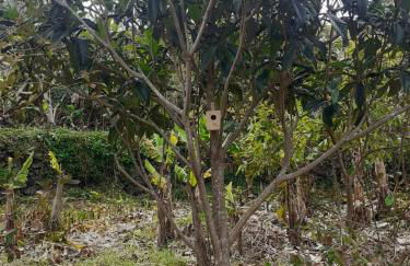 Adega Peróla - Photo 19