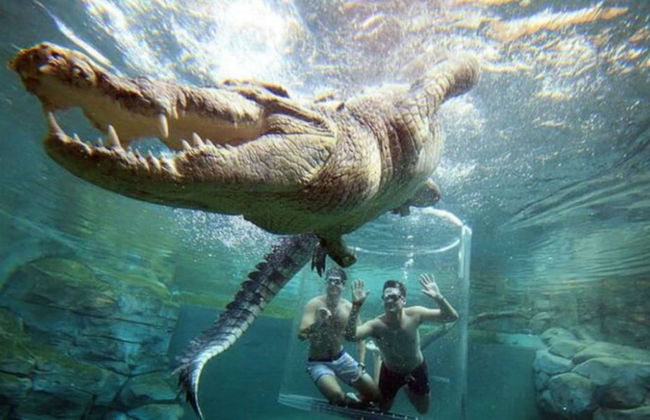 Zenwestralia Cityscape Balcony Outdoor Dining - Foto 11