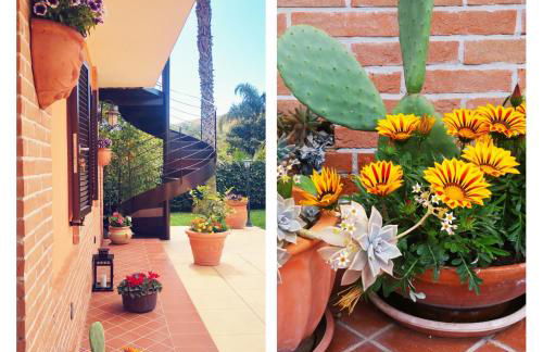 Una fuga inaspettata - Foto 27