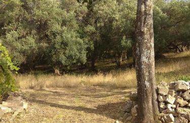 Efi Loutses - Foto 39