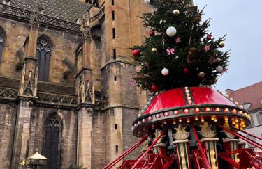 Les Suites Du Cygne - Foto 74