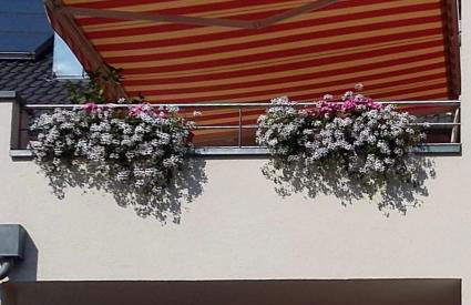 Apartment Salvete - Foto 11