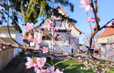 Ferienhaus Isabel - Foto 11