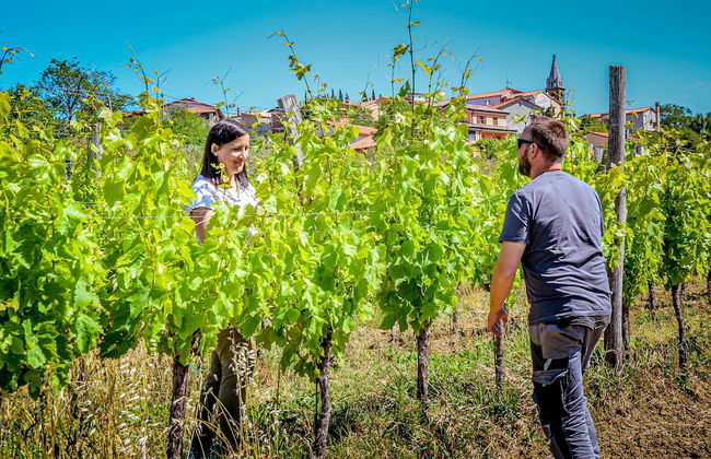 Wine & Apartment VINALES - Foto 32