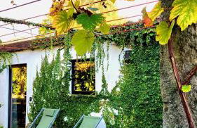 Villa Cornelia, Ponte de Lima - Foto 79