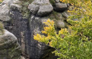 Ferienwohnungen Nimtz - Foto 26