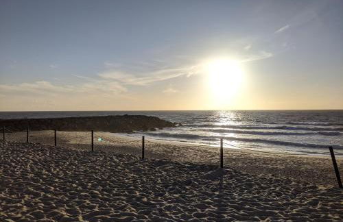 The Palm House - Foto 39