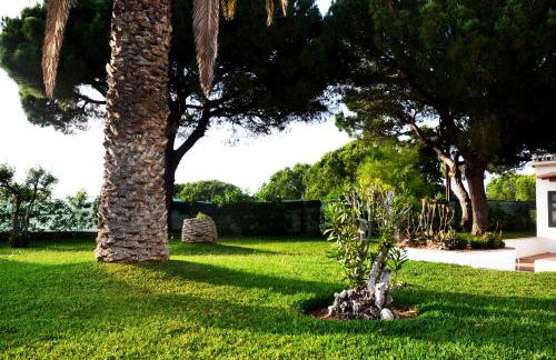 Sailing Studio Açoteias - Foto 25