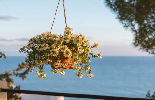 Dimore Acquasale- Sea View Houses - Photo 55