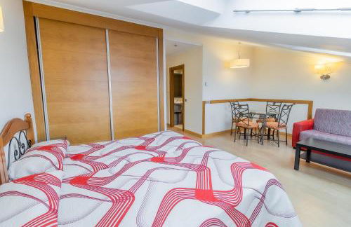 Apartamentos & casas rurales Santo Domingo de Silos - Photo 64