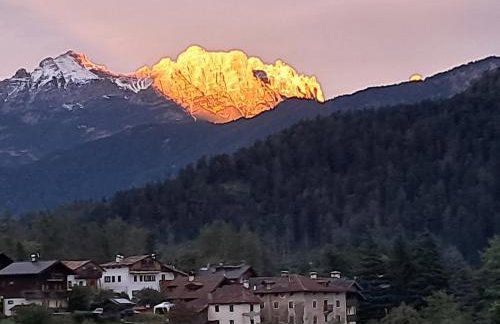 Tra prati e monti - Dolomiti Bellunesi - Foto 35