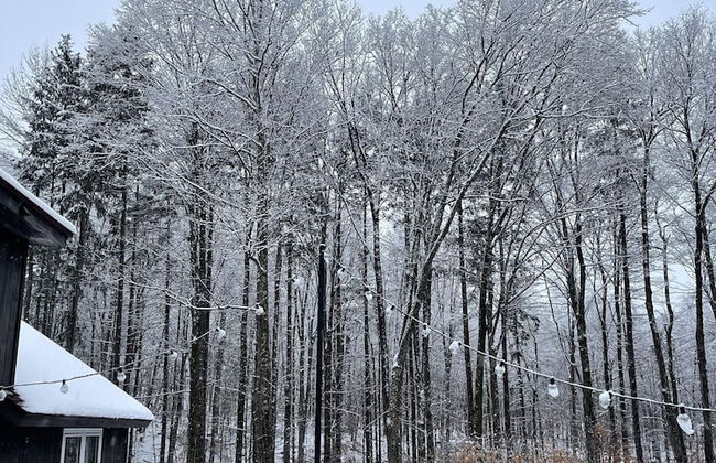 Forest Mountain Escape: Beautiful Mountaintop Escape In Mendon, Vt. 20 Min To Killington/14 To Pico. 4 Bedroom Home - Foto 30