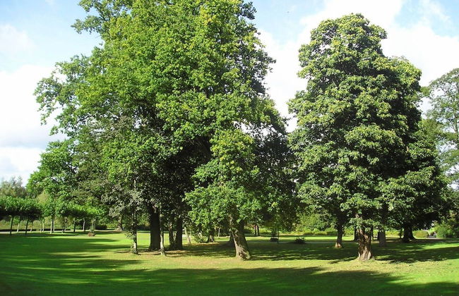 Bad Bentheim Family Retreat - Foto 15