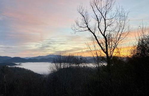 A Treehouse View Over Lake - Foto 5