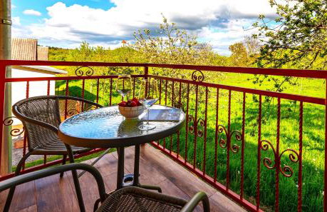 Guesthouse Diva Grabovčeva - Foto 23