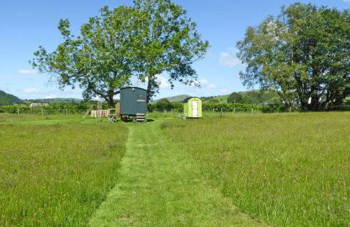 Cwt Cwtshlyd - Photo 10