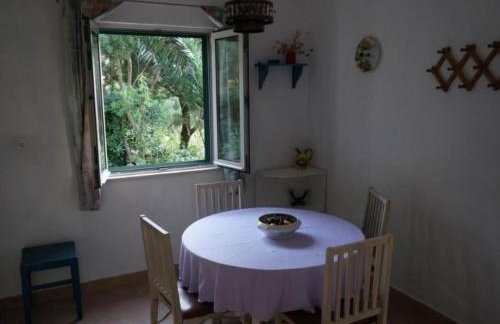 Apartments Stiniva Hvar - One Bedroom Apartment With Terrace A1 - Foto 32