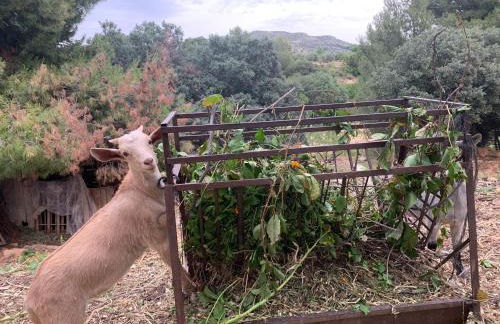 Casa Rural Cortijo El Helao - Foto 20