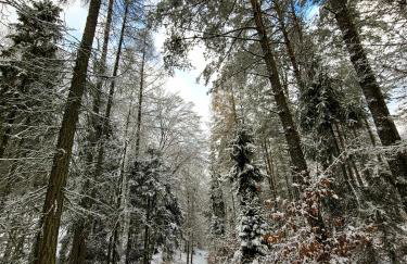Jaśkowe Wzgórze domki na wynajem Szymbark, balia, Domek nr 2 i 3 - Foto 35
