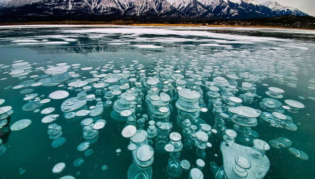 Paseo en helicóptero y raquetas de nieve por las Montañas Rocosas - Foto 5, Contemplando las curiosas burbujas del lago Abraham