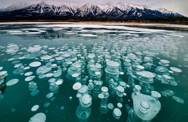 Paseo en helicóptero y raquetas de nieve por las Montañas Rocosas - Foto 5