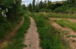 Apartamento ENTREVIÑAS en el corazón de La Rioja - Foto 16