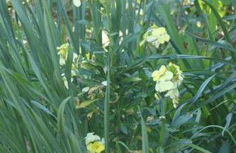 Holiday Home 8883 in Strandnähe by Interhome - Foto 36