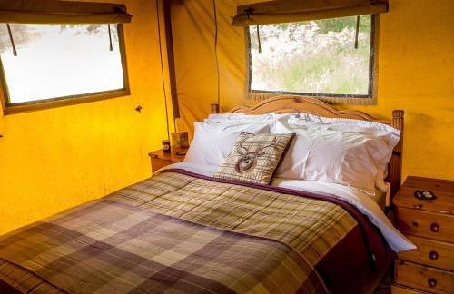 Tent 1 Deerland - Ukc4716 - Foto 13