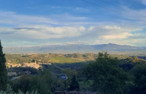 Poggio della Roverella Country House - Foto 36