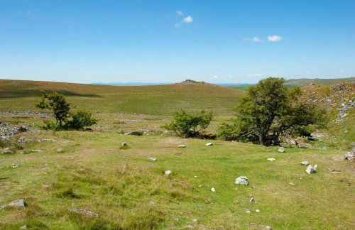 Dartmoor Barn on North Hessary Tor - Foto 19