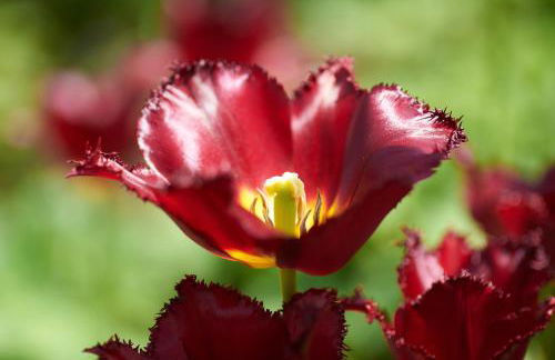 Luis Bader Haus - Fewo mit Garten und Berg-, Seenähe - Foto 17