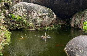 Fazenda Monte Sinai - Photo 18