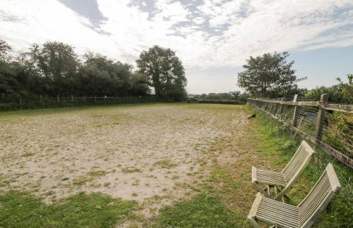 The Orchard - Foto 48