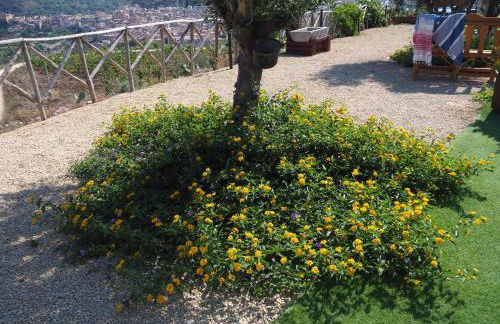 Agriturismo Dispenza - Foto 77