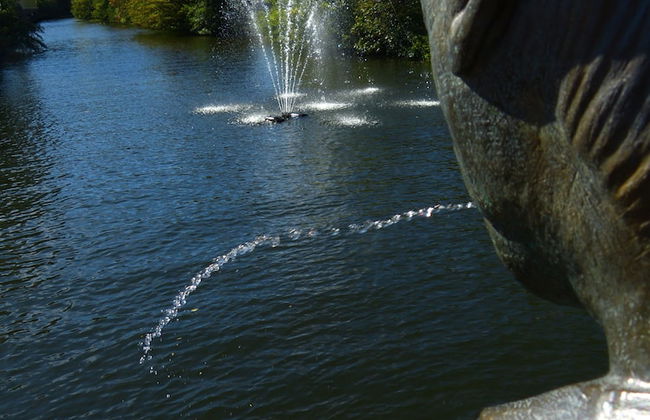 Haus Budinger Ferienwohnung Appartements - Foto 8