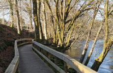 Apartamento C&C - Foto 34