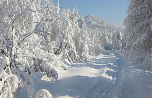 Ferienwohnung Hockert - Foto 13