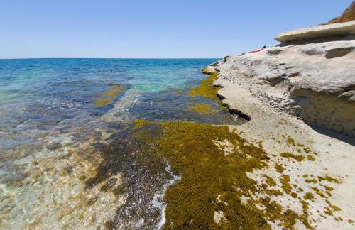 CaSotto il Carrubo, a 100 mt dal mare! - Foto 37
