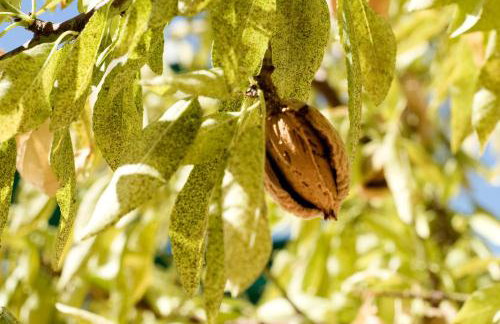 Agunì Agriturismo e Locanda - Foto 39