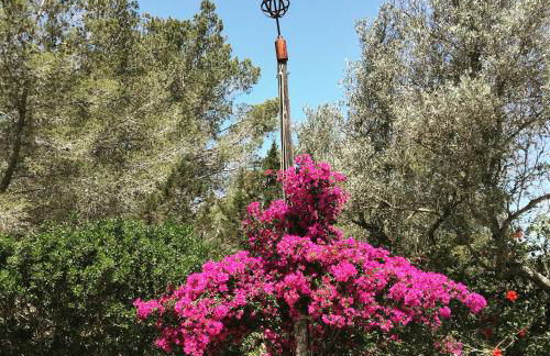 encantadora casa ibicenca - Foto 44