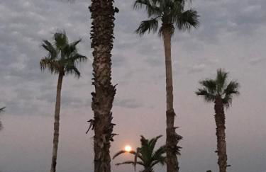 "Sabbinirica" - Photo 30