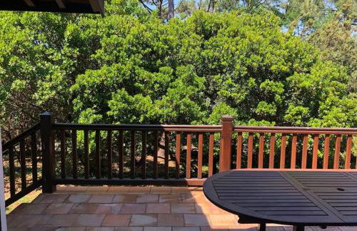 Villa CapFerret sous les pins,bassin et océan à pied - Foto 5